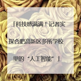 科技感满满！记者实探合肥高新区多所学校里的“人工智能”