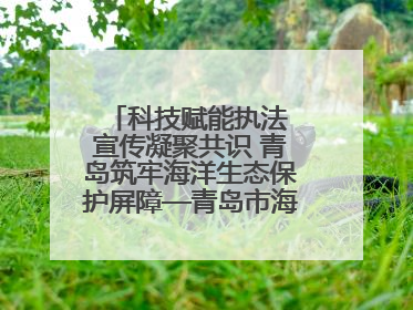 科技赋能执法 宣传凝聚共识 青岛筑牢海洋生态保护屏障—青岛市海洋发展局开展“世界海洋日”和“全国海洋宣传日”宣传活动