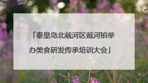 秦皇岛北戴河区戴河镇举办美食研发传承培训大会