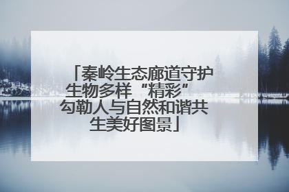 秦岭生态廊道守护生物多样“精彩” 勾勒人与自然和谐共生美好图景