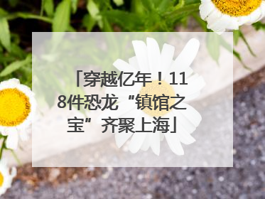 穿越亿年！118件恐龙“镇馆之宝”齐聚上海