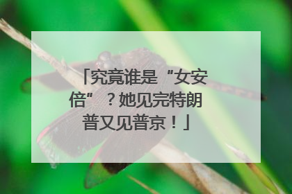 究竟谁是“女安倍”？她见完特朗普又见普京！
