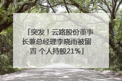 突发！云路股份董事长兼总经理李晓雨被留置 个人持股21%