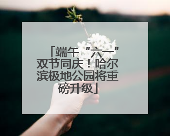 端午“六一”双节同庆!哈尔滨极地公园将重磅升级