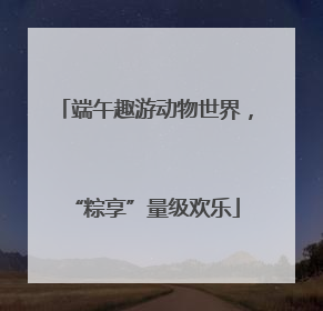 端午趣游动物世界，“粽享”量级欢乐