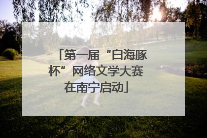第一届“白海豚杯”网络文学大赛在南宁启动