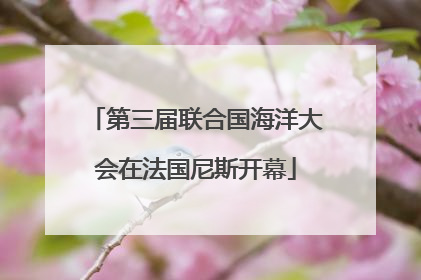 第三届联合国海洋大会在法国尼斯开幕