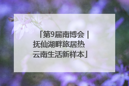 第9届南博会｜抚仙湖畔旅居热 云南生活新样本