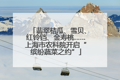 翡翠桔瓜、雪贝、红铃铛、金寿桃……上海市农科院开启“缤纷蔬菜之约”