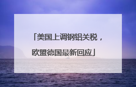 美国上调钢铝关税，欧盟德国最新回应