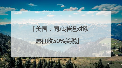 美国：同意推迟对欧盟征收50%关税
