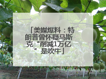 美媒爆料：特朗普曾怀疑马斯克“削减1万亿”是吹牛