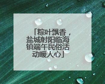 粽叶飘香，盐城射阳临海镇端午民俗活动暖人心