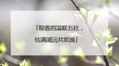 粽香四溢联五社，情满浦沅共欢颜