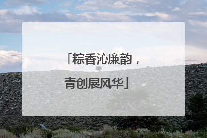 粽香沁廉韵，青创展风华