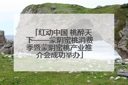 红动中国 桃醉天下——蒙阴蜜桃消费季暨蒙阴蜜桃产业推介会成功举办