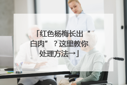 红色杨梅长出“白肉”？这里教你处理方法→