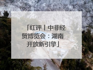 红评丨中非经贸博览会：湖南开放新引擎