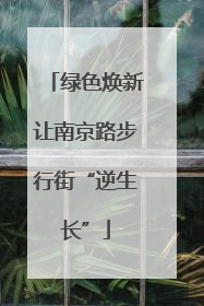 绿色焕新让南京路步行街“逆生长”