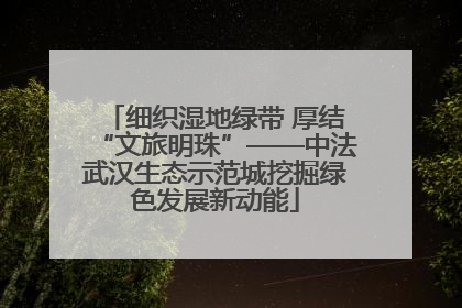 细织湿地绿带 厚结“文旅明珠”——中法武汉生态示范城挖掘绿色发展新动能