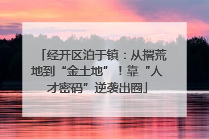 经开区泊于镇：从撂荒地到“金土地”！靠“人才密码”逆袭出圈