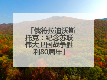 俄符拉迪沃斯托克：纪念苏联伟大卫国战争胜利80周年