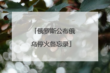 俄罗斯公布俄乌停火备忘录