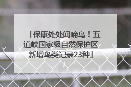 保康处处闻啼鸟！五道峡国家级自然保护区新增鸟类记录23种