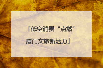 低空消费“点燃”厦门文旅新活力