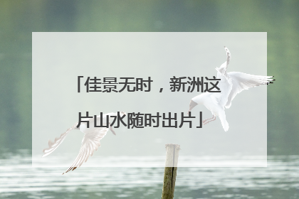 佳景无时，新洲这片山水随时出片