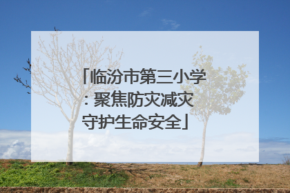 临汾市第三小学：聚焦防灾减灾 守护生命安全
