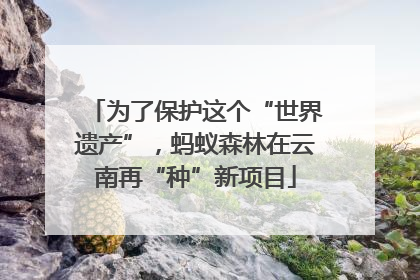 为了保护这个“世界遗产”，蚂蚁森林在云南再“种”新项目