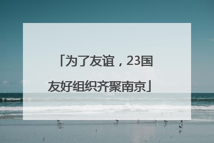 为了友谊，23国友好组织齐聚南京