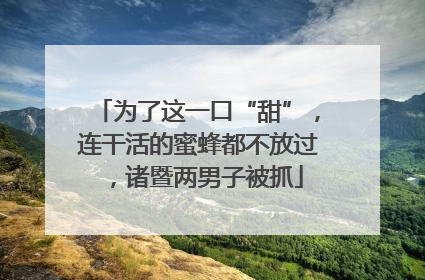 为了这一口“甜”，连干活的蜜蜂都不放过，诸暨两男子被抓