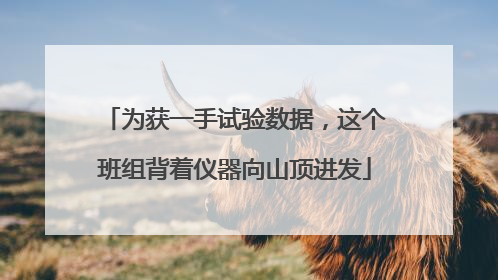 为获一手试验数据，这个班组背着仪器向山顶进发