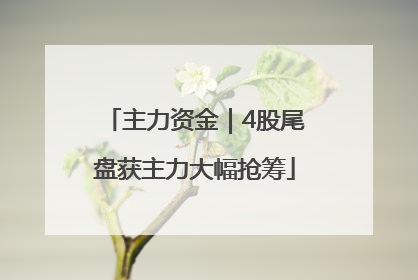 主力资金｜4股尾盘获主力大幅抢筹