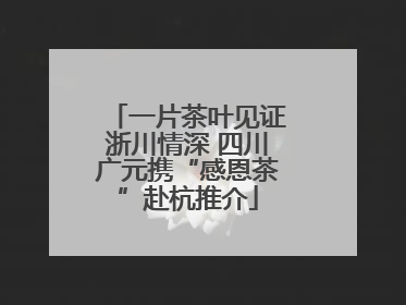 一片茶叶见证浙川情深 四川广元携“感恩茶”赴杭推介