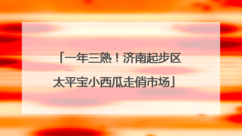 一年三熟！济南起步区太平宝小西瓜走俏市场