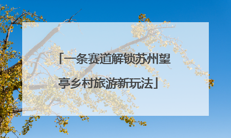一条赛道解锁苏州望亭乡村旅游新玩法