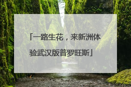 一路生花，来新洲体验武汉版普罗旺斯