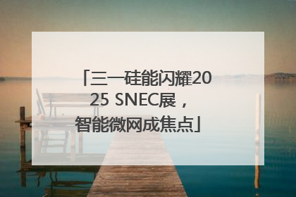 三一硅能闪耀2025 SNEC展，智能微网成焦点