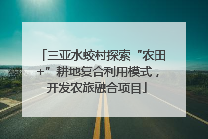 三亚水蛟村探索“农田+”耕地复合利用模式，开发农旅融合项目