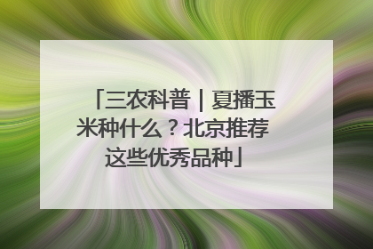 三农科普｜夏播玉米种什么？北京推荐这些优秀品种
