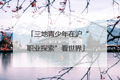 三地青少年在沪“职业探索”看世界
