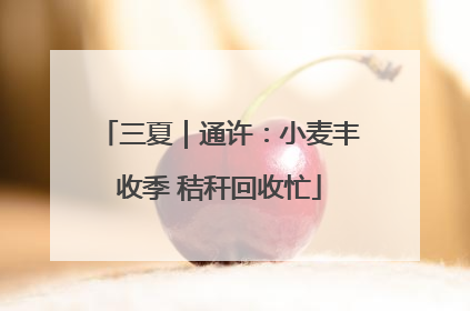 三夏｜通许：小麦丰收季 秸秆回收忙