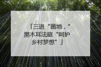三进“菌地，”黑木耳法庭“呵护乡村梦想”