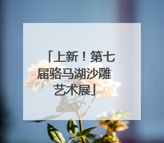 上新！第七届骆马湖沙雕艺术展