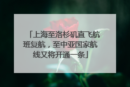 上海至洛杉矶直飞航班复航，至中亚国家航线又将开通一条