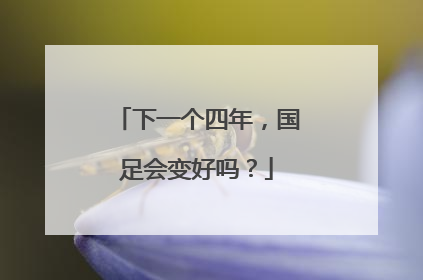 下一个四年，国足会变好吗？