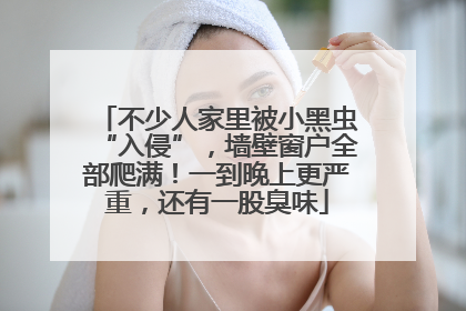 不少人家里被小黑虫“入侵”，墙壁窗户全部爬满！一到晚上更严重，还有一股臭味